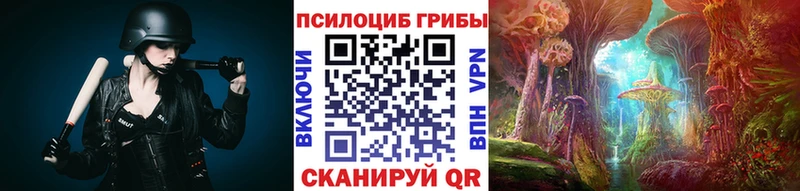 Псилоцибиновые грибы мицелий  купить  цена  Пудож 